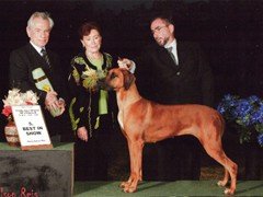 Daniel Breim - handler - Rodhesian Ridgeback