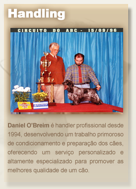 Daniel Breim ganhando BIS como handler profissional